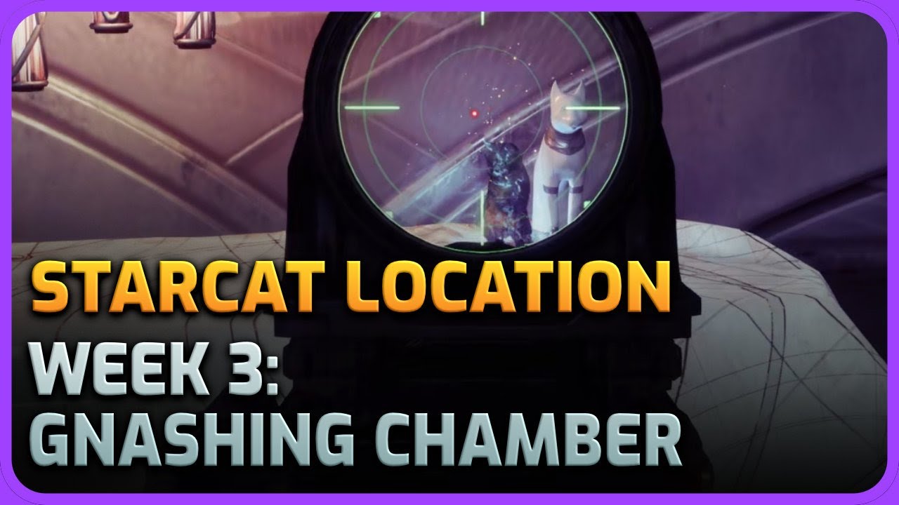 Starcat Location Gnashing Chamber Week 3 - Destiny 2 Season of the Wish