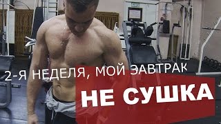 2-Я НИЗКОУГЛЕВОДНАЯ НЕДЕЛЯ, МОЁ УТРО / ТРАНСФОРМАЦИЯ ДРИЩА 2-Я НИЗКОУГЛЕВОДНАЯ НЕДЕЛЯ, МОЁ УТРО / ТРАНСФОРМАЦИЯ ДРИЩА