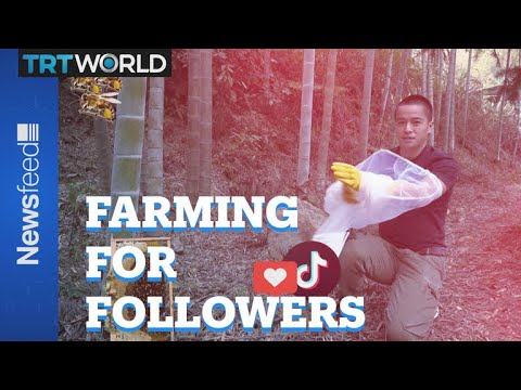 One Chinese farmer show's influencers how it should be done