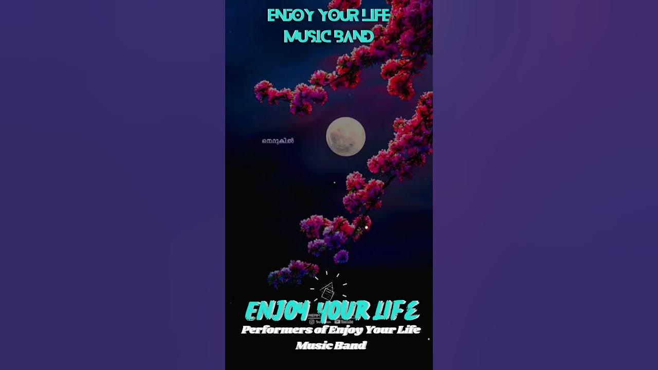 Enjoy Your Life Music Band