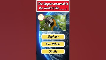 General Knowledge Q&A #1 #shorts #shortvideo #quiz