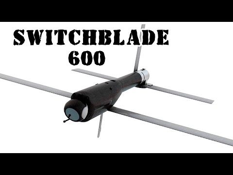 Видео: Switchblade 600 сумтай сум (АНУ)