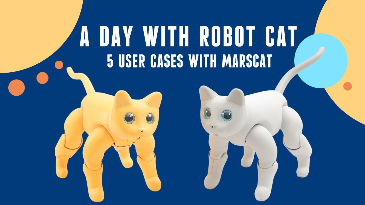 Can you love a robot cat ? Five User cases of Marscat YouTube