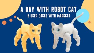 Can you love a robot cat ? | Five User cases of Marscat