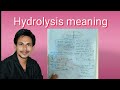 Hydrolysis meaning