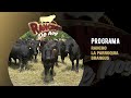 PROGRAMA La Parroquia Brangus 1