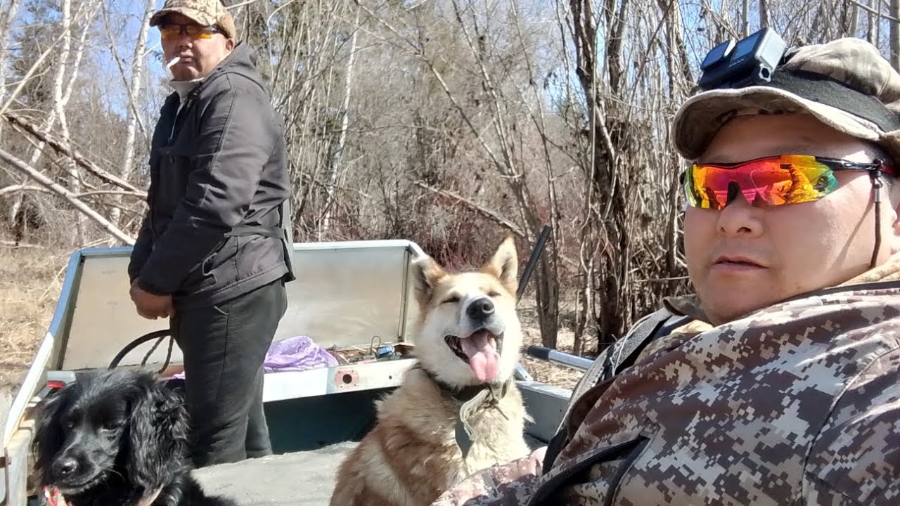 Сааскы кус хаас / Весенняя охота на гуся 2025г.