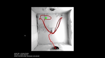 Olfactory Navigation in Mice: Physics and Behaviorc