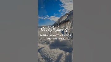 قل حسبي الله عليه يتوكل المتوكلون | القارئ يوسف عثمان