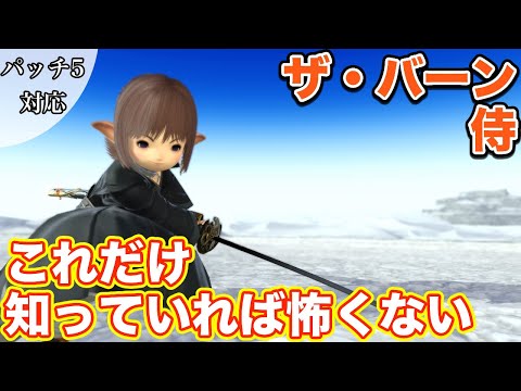 Ff14 ザ バーンに侍 Dps で挑戦 これだけ知っていれば怖くない パッチ5 Youtube