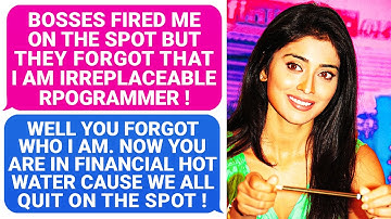 Director & VP Forgot I Am Irreplaceable Programmer, FIRED Me! Boss Forgot Who I Am In a Company r/MC