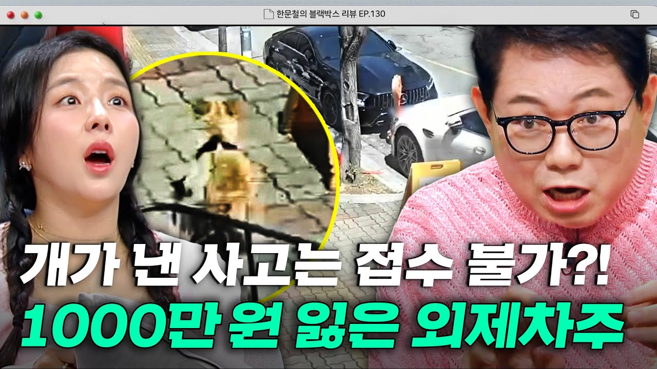 벤ㅊ 수리비 1000만 원 못 받는다?💦 사라진 가해견과 견주... 도로 위 황당 사건 | 한블리 (한문철의 블랙박스 리뷰) | JTBC 250617 방송