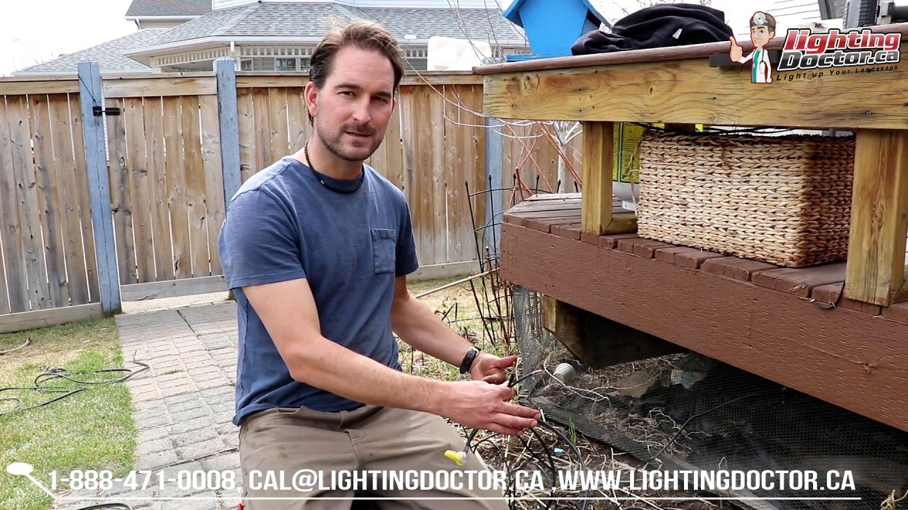 How to Install Landscape Lighting - When is the best Time of Year ...