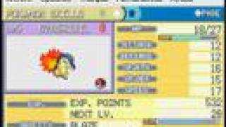 Cyndaquil Stats - Shiny Gold