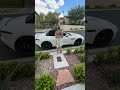 F-Type: The Last Great Jaguar