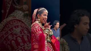 #trending videos #viralvideos