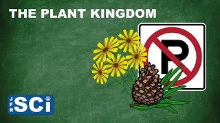 The Plant Kingdom