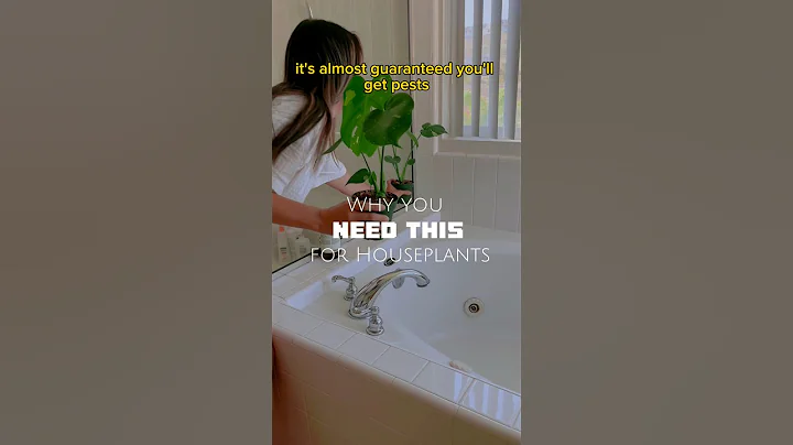 Why you NEED this for Houseplants #shorts #houseplants #tips #pests #plantcare #experiment