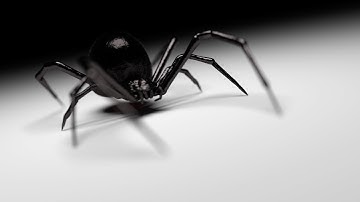 Blender Animation Tutorial - How To Create A Spider Walk Cycle in Blender