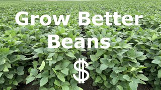 How planting rate, row spacing, and fungicide application affect soybean yield. (2021)