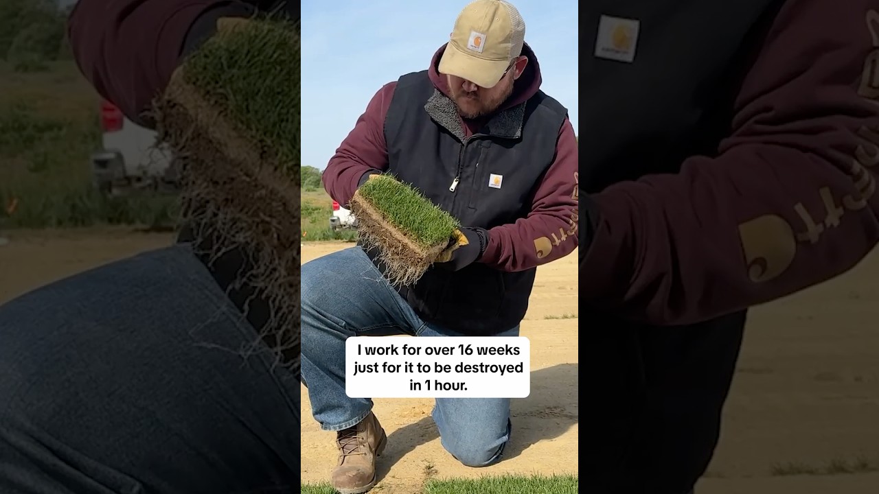 Carhartt: "I work over 16 weeks just for it to be destroyed in 1 hour”