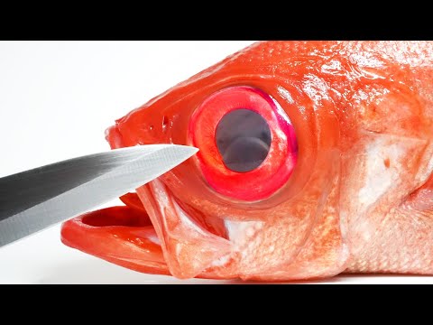 When I cut the eye of the golden eye snapper open