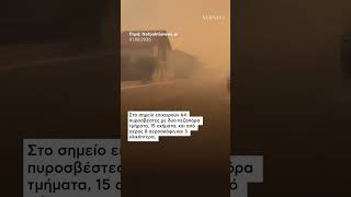 «Στα όριά του ο κρατικός μηχανισμός»