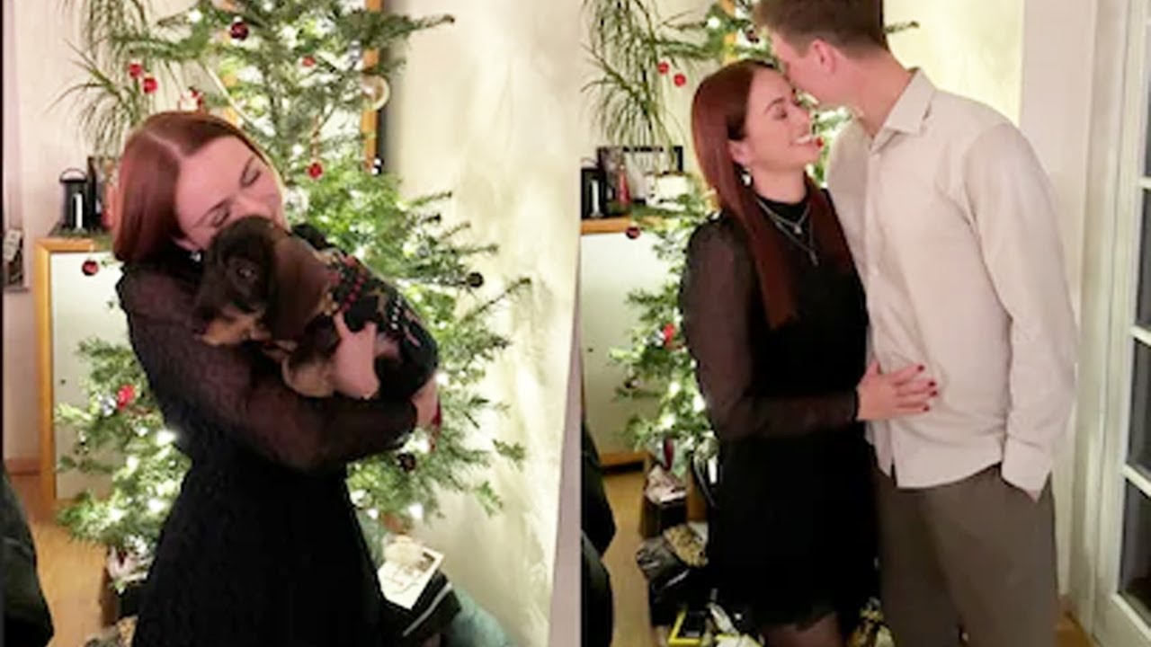 Glücklich verliebt: „Bauer sucht Frau“-Paar verrät Details zum Weihnachtsfest