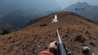 Kekli̇k Avi. Çok Sıcak Bir Gün. Duble Atış.