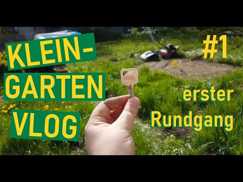 Kleingarten Vlog #1 - erster Rundgang | neuer Schrebergarten ?