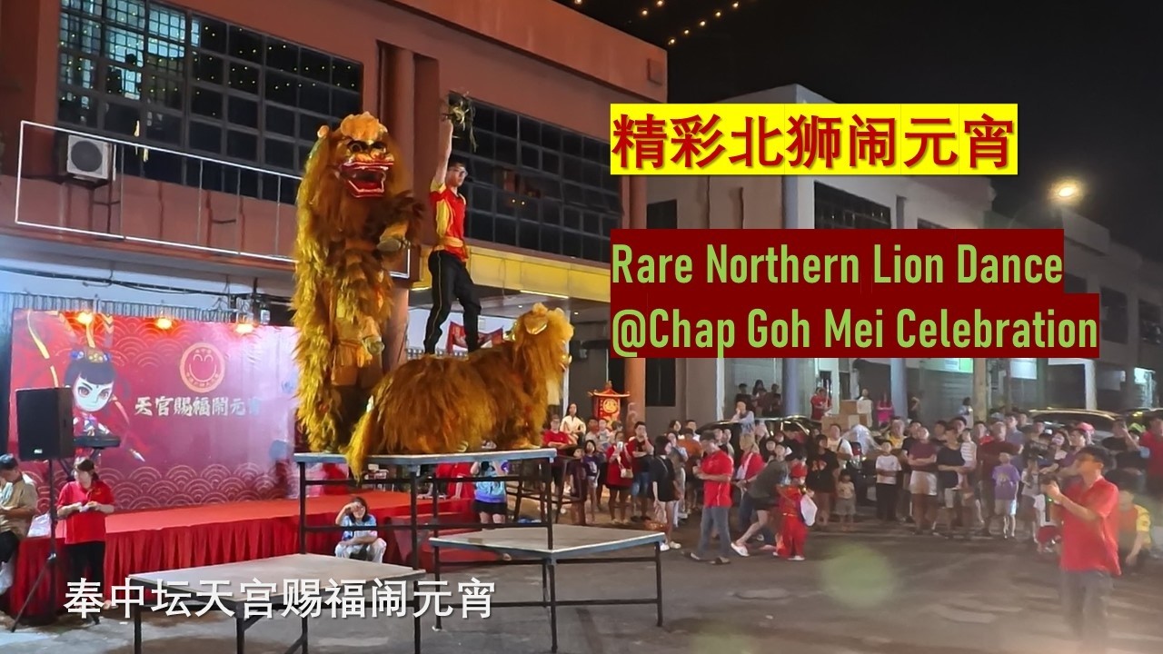 活泼可爱北狮闹元宵 | 新山金狮体育会 @2026年奉中坛天宫赐福闹元宵 #新春2026 #元宵节 #舞狮 #奉中坛 #北狮 #新山金狮体育会 #金狮 #闹元宵