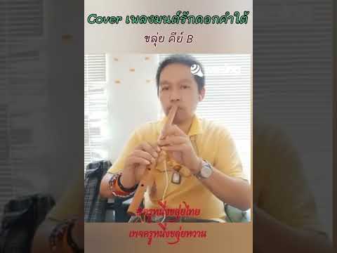 #ครูหนึ่งขลุ่ยหวาน #ครูหนึ่งขลุ่ยไทย Cover เพลงมนต์รักดอกคำใต้  ขลุ่ยคีย์ B