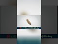 Dịch vụ số hóa 3D hiện vật bảo tàng #shorts #sohoa3d