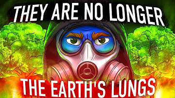 Why Trees Have Started to Consume Our Oxygen