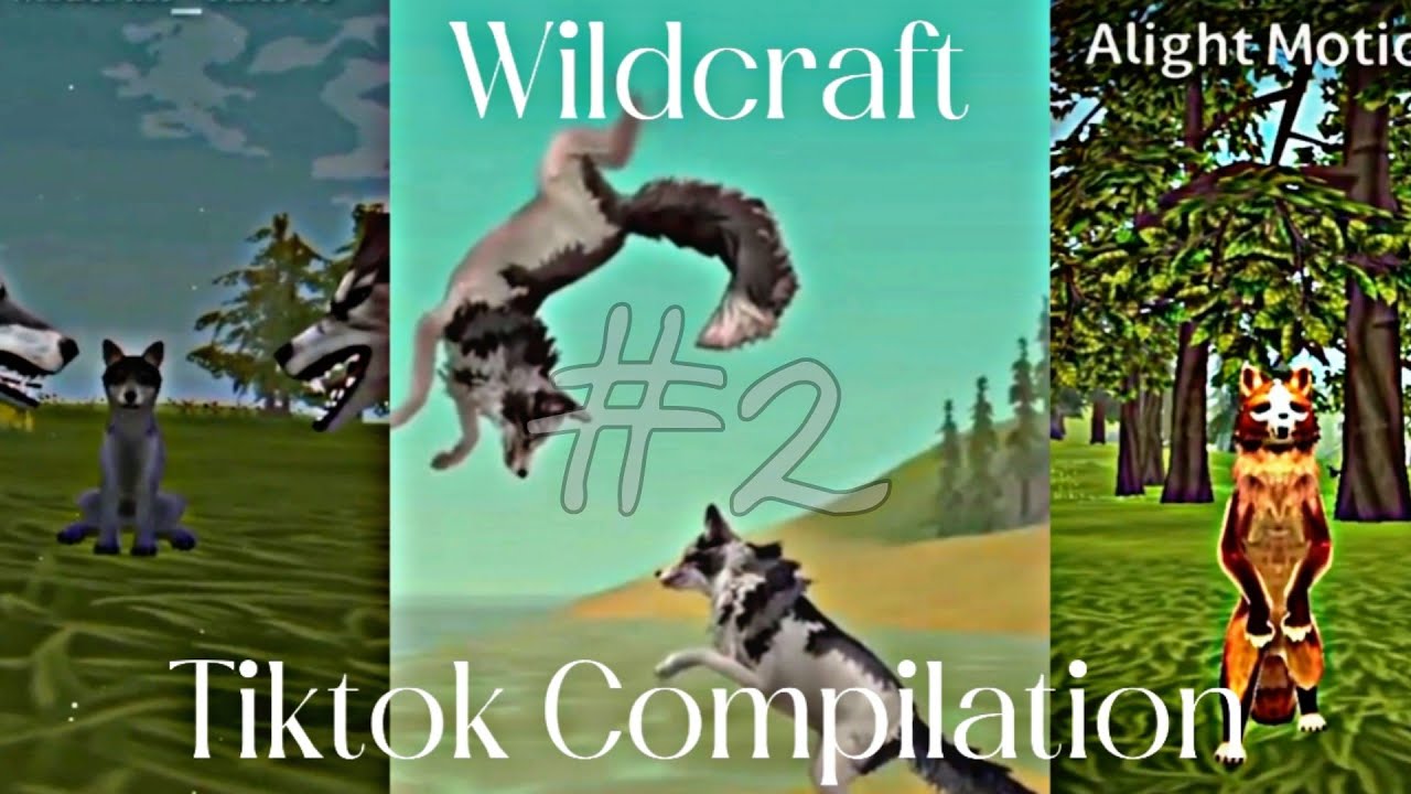 Wildcraft tiktok compilation 2 YouTube