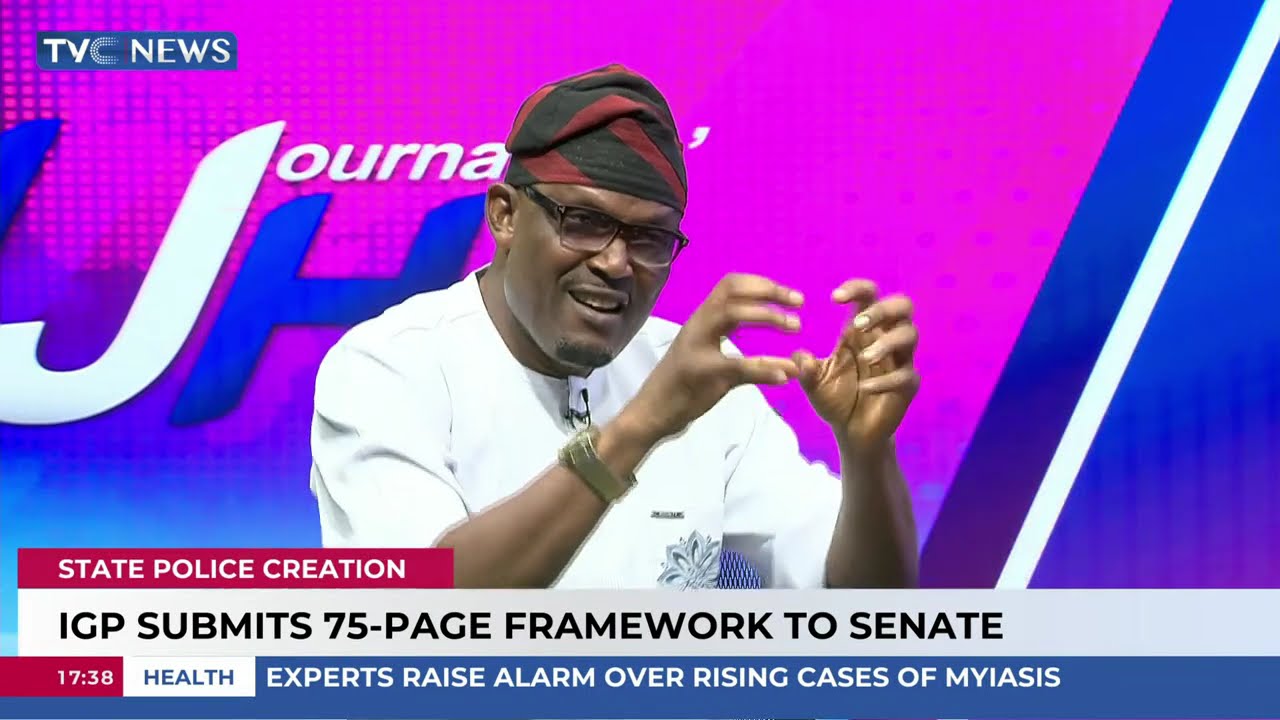 IGP Submits 75-Page Framework On State Police Creation To Senate