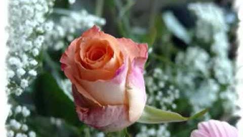 Bài ca Xuân 61 - Tố Hữu - Châu Loan ngâm