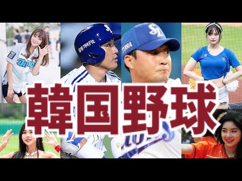 【KBO全10チーム紹介】韓国野球が面白すぎる！！！【日韓友好】/한국야구 소개