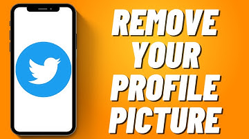 How to Remove Your Profile Picture on Twitter (2023)