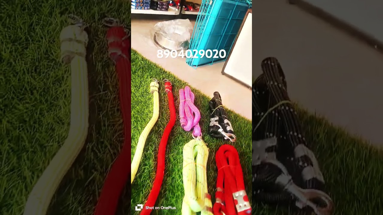 Wholesale pet food and accessories available......🙏🏻