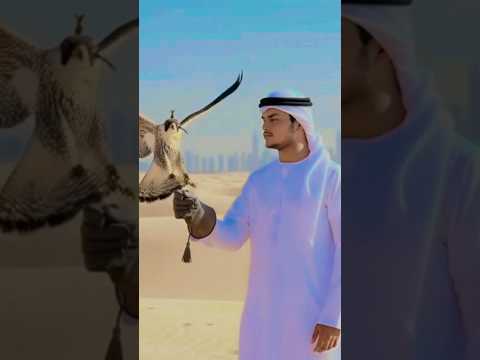 Habibi Come To Dubai Ytshorts Dubai