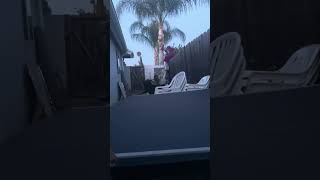IMG 5019