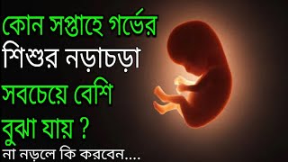 গর্ভের শিশুর নড়াচড়া | কত মাসে বাচ্চার নড়াচড়া বুঝা যায় | Fetal movement in womb | Baby movement