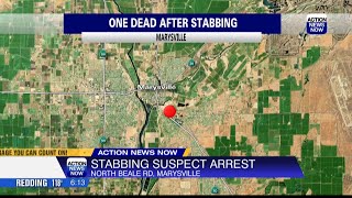 Suspect arrested after stabbing victim dies at hospital