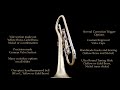 Twister rotary trumpet by mg trumpets watch in 1080p