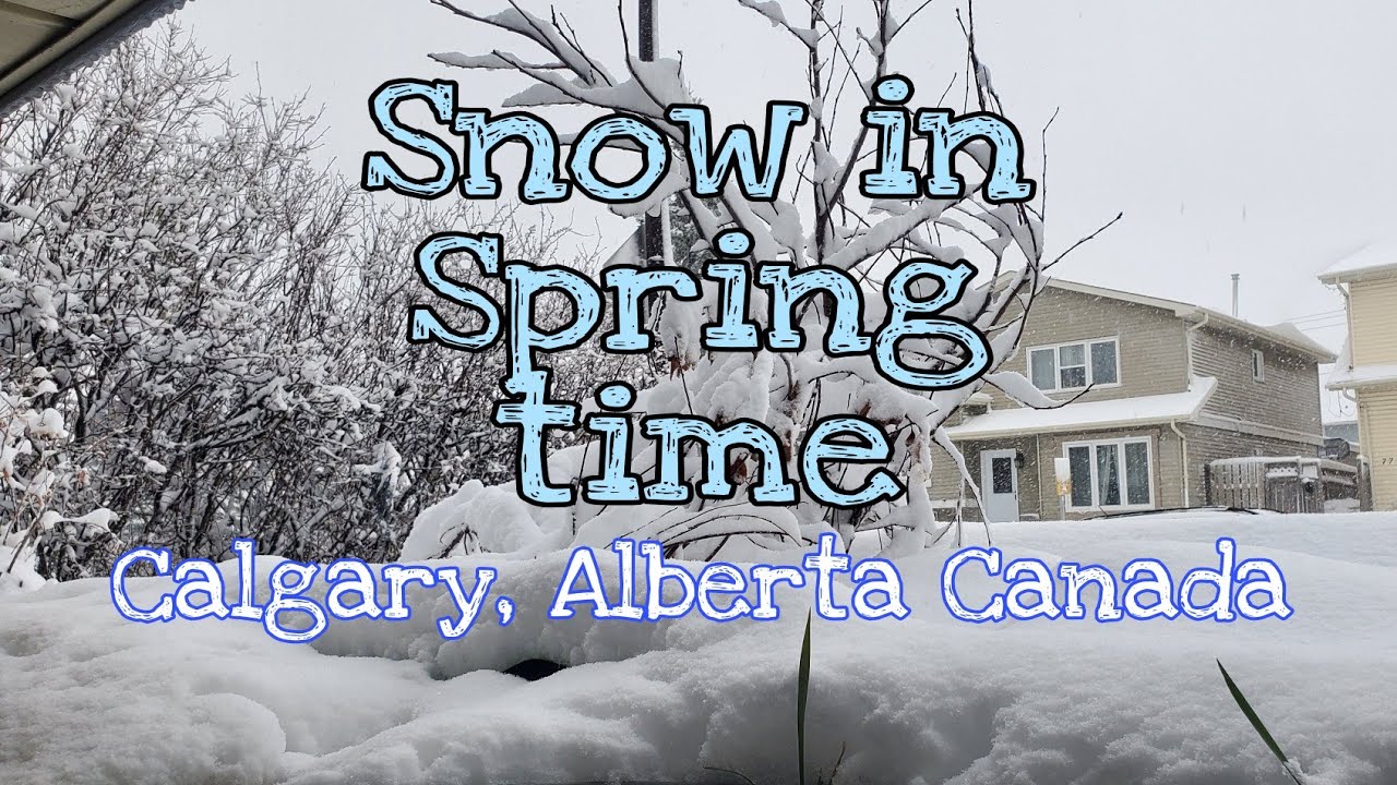 Snow in Spring time | Calgary | Alberta Canada - YouTube