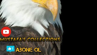 John Wick 4 Altyazı Fragman