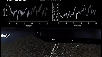 Sheared granular dynamics