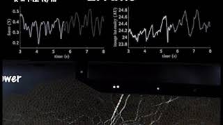 Sheared granular dynamics