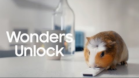 Unlock wonders with 2024 Monitors | Samsung